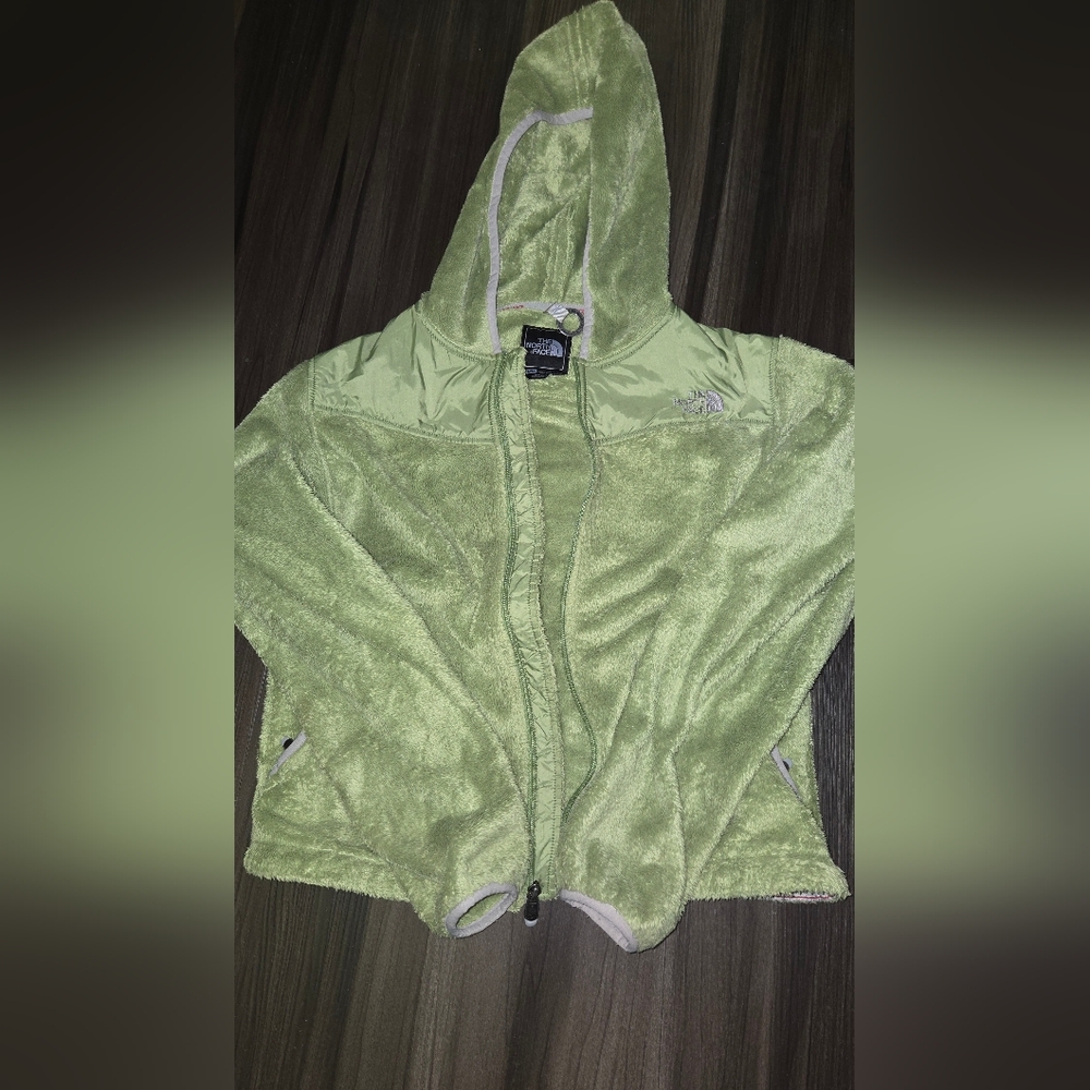 The North Face Light Green Fleece Vest